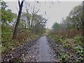 SJ8450 : Bradwell Woods Greenway by Jonathan Hutchins