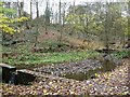 SE1336 : Silted up pond on Northcliff Dike by Christine Johnstone