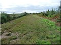 SJ4835 : Mosses Trail, between posts 9 and 8, Whixall Moss by Christine Johnstone