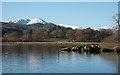 NY3703 : Rocks protruding into shore of Windermere by Trevor Littlewood