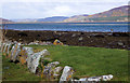 NH7995 : Looking up Loch Fleet by Jon Alexander