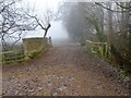 SK3243 : Stone bridge over a stream by Ian Calderwood