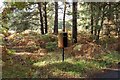 TM3446 : Redundant postbox, Lower Hollesley Common by Simon Mortimer