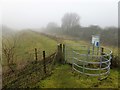 TF3902 : The Nene Way joins The South Bank at Ring's End - The Nene Washes by Richard Humphrey