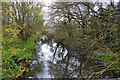 SP3576 : River Sowe downstream from the footbridge out of Whitley Grove, southeast Coventry by Robin Stott