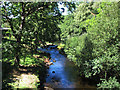 SX8088 : River Teign above Steps Bridge by Stephen Craven