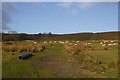 NS6979 : British Waterways road, Corrie by Richard Webb