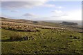 NS6979 : Rough grazing, Corrie by Richard Webb