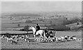 ST7683 : Beaufort Hunt, Horton, Gloucestershire 1985 by Ray Bird