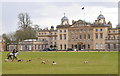 ST8083 : Beaufort Hunt, Badminton, Gloucestershire 2016 by Ray Bird