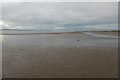 NT4481 : Sandbank, Aberlady Bay by Richard Webb