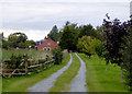 SJ5847 : Farm driveway near Wrenbury, Cheshire by Roger  D Kidd