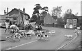 ST8080 : Beaufort Hunt, Acton Turville, Gloucestershire 2016 by Ray Bird