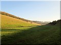 SE8852 : Winter  sun  casts  shadows  in  Lavender  Dale by Martin Dawes