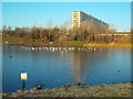 TQ3377 : Ice on the lake, Burgess Park by Malc McDonald