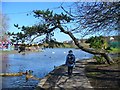 ST4677 : Portishead - Marine Lake by Colin Smith