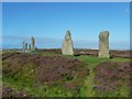 HY2913 : Ring of Brodgar - South-western quadrant by Rob Farrow