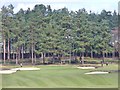  : Hankley Common Golf Course by Colin Smith