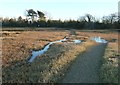 SZ7799 : Tidal footpath at Ella Nore by Rob Farrow