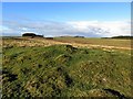 NY8369 : Bronze Age round cairn, Howden Hill by Andrew Curtis