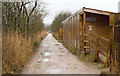 SD4875 : Bridleway passing Public Hide by Trevor Littlewood