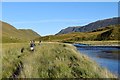  : Walking up Glen Affric by Patrick Mackie