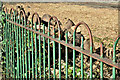 J3674 : Old green fence, Mersey Street, Belfast (March 2017) by Albert Bridge