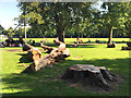 SP3165 : Dismantled Horse Chestnut, Victoria Park play area, Leamington by Robin Stott