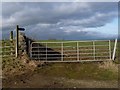 NZ1410 : Footpath entrance, west side of Collier Lane by Christine Johnstone