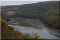 SX1351 : Looking up Pont Pill by Christopher Hilton