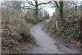 SO2000 : Path towards Pen-y-fan Pond Country Park by M J Roscoe