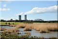 NZ4823 : Pool at Saltholme RSPB reserve by Trevor Littlewood