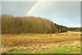 SE3464 : Double rainbow over Burton Wood by Derek Harper