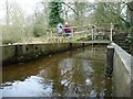 NY6128 : Leat powering Acorn Bank watermill by Christine Johnstone