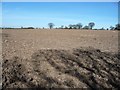 SK2307 : Shadows on a ploughed field, near Podmore Cottages by Christine Johnstone