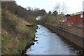 SO1804 : River Ebbw near Tallistown by M J Roscoe