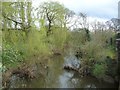 SJ7167 : The River Dane at Byley Bridge by Christine Johnstone