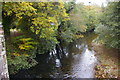 SX0963 : View upstream from Respryn Bridge by Christopher Hilton