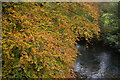 SX0963 : River Fowey and autumn leaves, at Respryn Bridge by Christopher Hilton