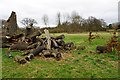 SP1578 : Pile of logs near Malvern Park by Bill Boaden