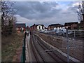 SJ8491 : Railway Cutting by Bob Harvey