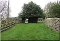 NO2507 : Curious tree in Falkland Old Churchyard by Bill Kasman