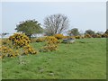 NY2061 : Water trough near Byres Cottage by Oliver Dixon