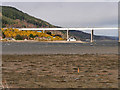 NH6547 : Beauly Firth, Shore at South Kessock by David Dixon