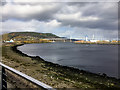 NH6546 : South Kessock, Mouth of River Ness by David Dixon