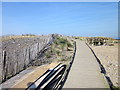 SH9980 : Boardwalk on Horton's Nose by Jeff Buck