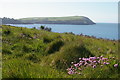 SN0339 : Looking west from Aber Step to Dinas Island by Christopher Hilton