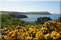 SN0339 : Looking west to Dinas Island by Christopher Hilton