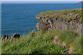 SN0339 : Cliffs at Penrhyn y Fforest by Christopher Hilton