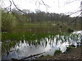 TQ6289 : Old Hall Pond in Thorndon Country Park South by Marathon